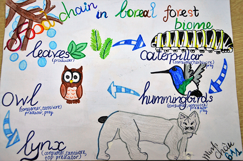 học k&egrave;m m&ocirc;n sinh học